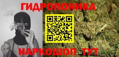 стафф Будённовск