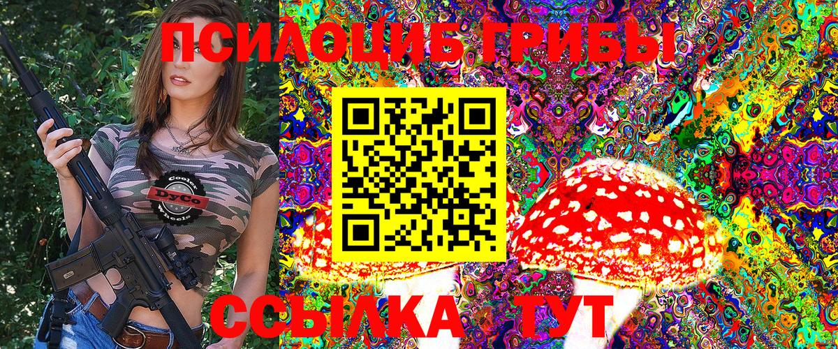 Псилоцибиновые грибы Psilocybe Буйнакск