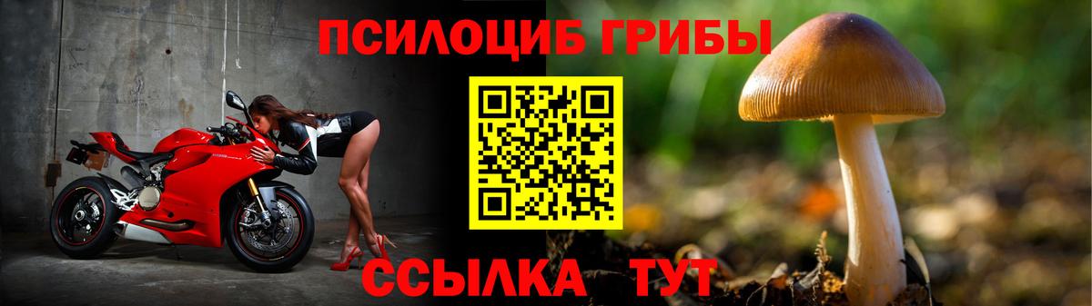 Буйнакск  Псилоцибиновые грибы мухоморы  Вход с VPN 